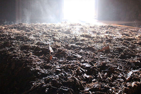 炭化窯で蒸し焼きにされる樹 皮。ネッカリッチの元となる