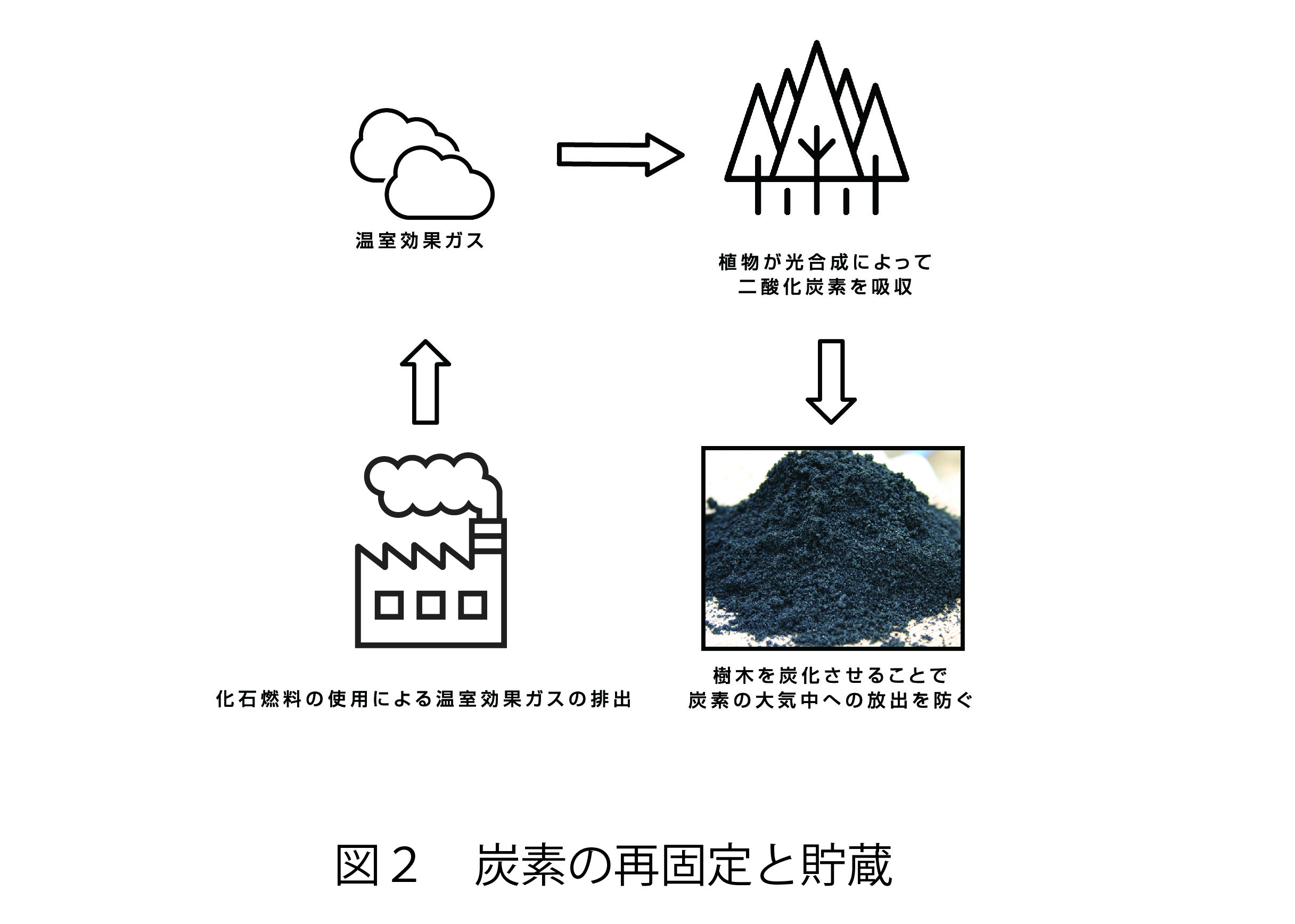 図2. 炭素の再固定と貯蔵
